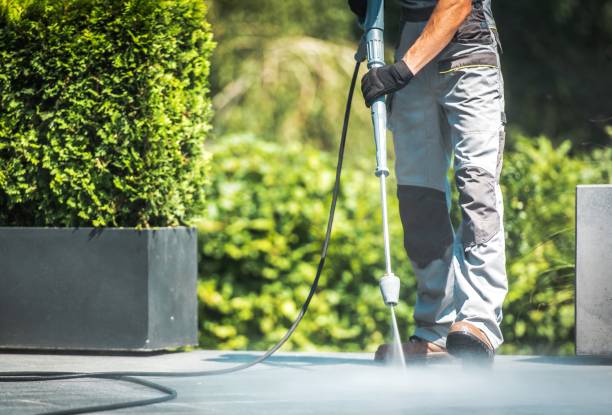 Best Solar Panel Cleaning  in Shelton, CT